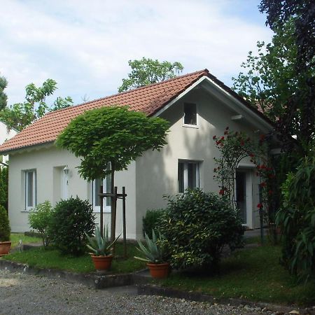 Villa Maja Markdorf Bagian luar foto